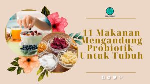 Daftar Makanan yang Mengandung Probiotik Alami: Kunci Menuju Pencernaan Sehat dan Imunitas Optimal