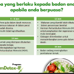 Manfaat Intermittent Fasting untuk Regenerasi Sel: Mengoptimalkan Kesehatan Seluler dan Umur Panjang