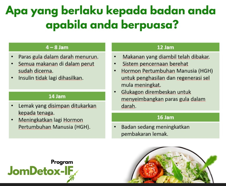 Manfaat Intermittent Fasting untuk Regenerasi Sel: Mengoptimalkan Kesehatan Seluler dan Umur Panjang