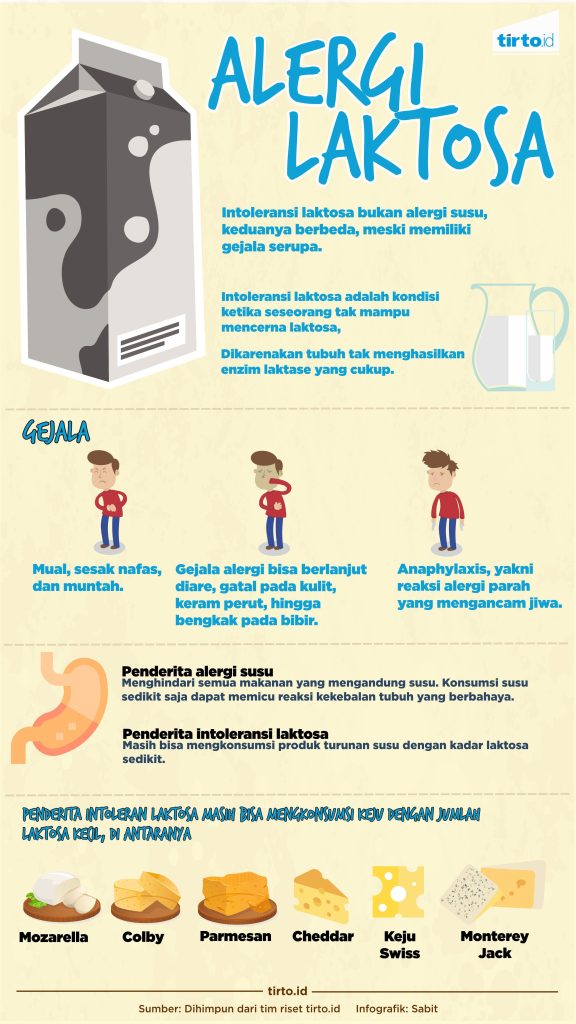 Mengenal Gejala Intoleransi Laktosa pada Dewasa: Panduan Lengkap untuk Pemahaman dan Pengelolaan